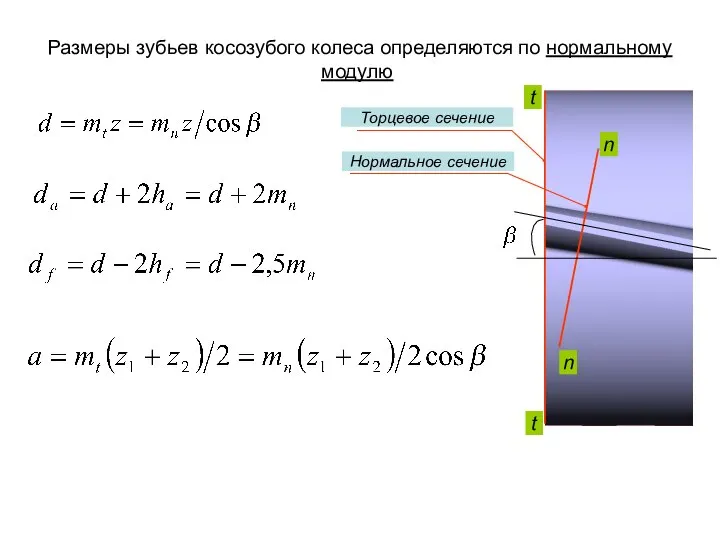 Размеры зубьев косозубого колеса определяются по нормальному модулю n n t t Торцевое сечение Нормальное сечение