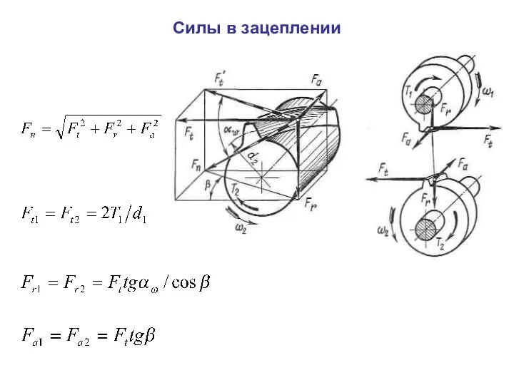 Силы в зацеплении