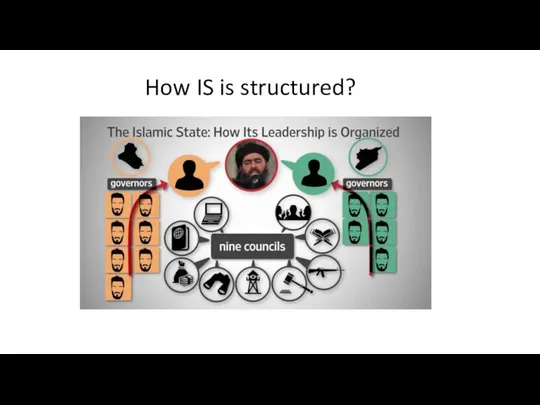 How IS is structured?