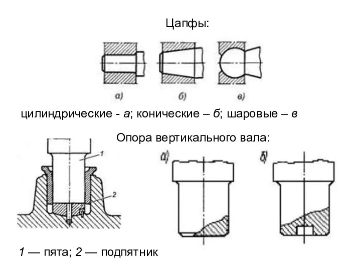 1 — пята; 2 — подпятник Цапфы: цилиндрические - а; конические