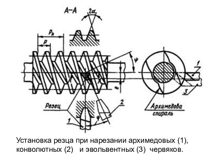 Установка резца при нарезании архимедовых (1), конволютных (2) и эвольвентных (3) червяков.