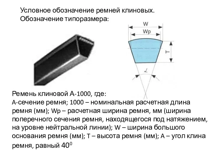 Условное обозначение ремней клиновых. Обозначение типоразмера: Ремень клиновой А-1000, где: A-сечение