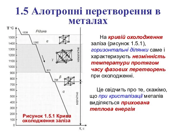 1.5 Алотропні перетворення в металах На кривій охолодження заліза (рисунок 1.5.1),