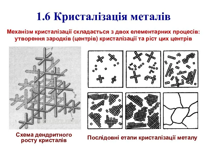 1.6 Кристалізація металів Схема дендритного росту кристалів Послідовні етапи кристалізації металу