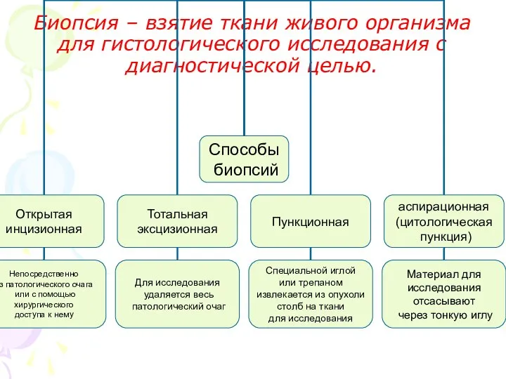 Биопсия – взятие ткани живого организма для гистологического исследования с диагностической целью.