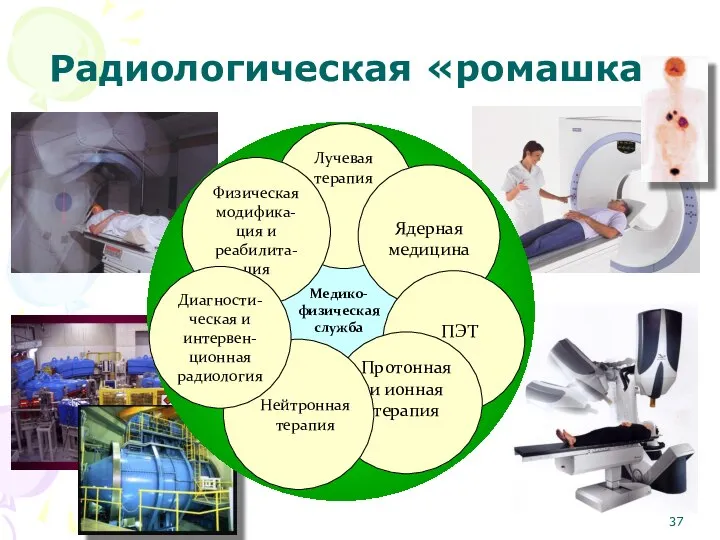 Радиологическая «ромашка»