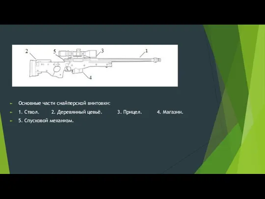 Основные части снайперской винтовки: 1. Ствол. 2. Деревянный цевьё. 3. Прицел. 4. Магазин. 5. Спусковой механизм.