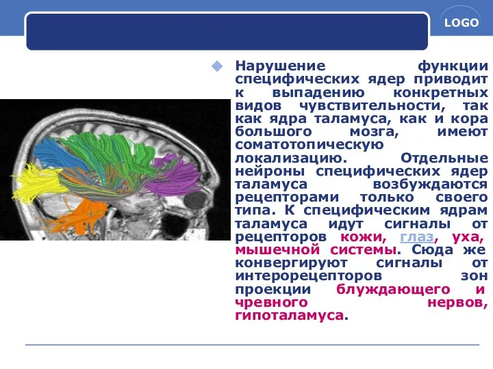 Нарушение функции специфических ядер приводит к выпадению конкретных видов чувствительности, так