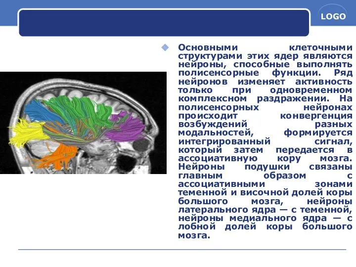 Основными клеточными структурами этих ядер являются нейроны, способные выполнять полисенсорные функции.