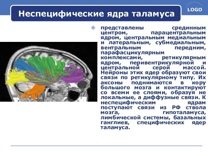 Неспецифические ядра таламуса представлены срединным центром, парацентральным ядром, центральным медиальным и