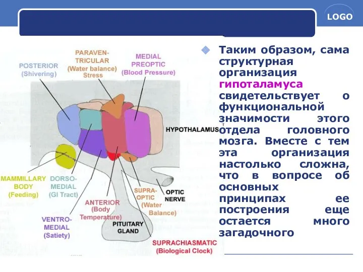 Таким образом, сама структурная организация гипоталамуса свидетельствует о функциональной значимости этого