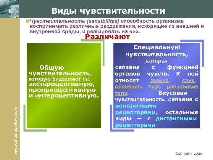 Company Logo Виды чувствительности Общую чувствительность, которую разделяют на: экстероцептивную, проприоцептивную