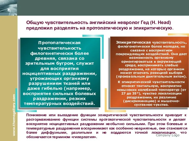 Company Logo Общую чувствительность английский невролог Гед (Н. Head) предложил разделять