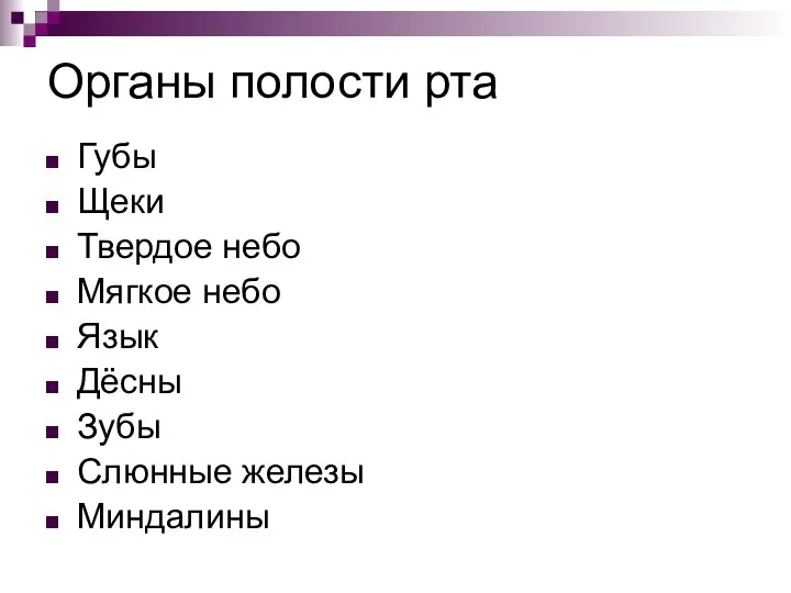 Органы полости рта Губы Щеки Твердое небо Мягкое небо Язык Дёсны Зубы Слюнные железы Миндалины