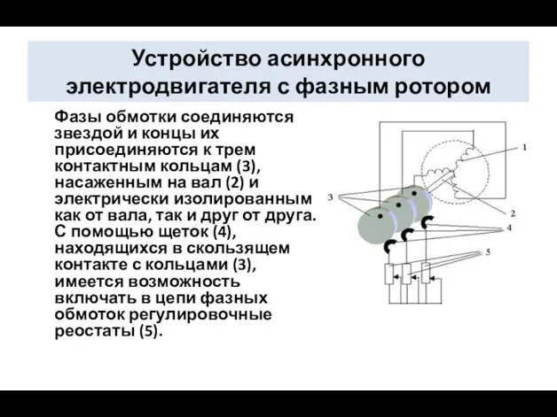 Устройство асинхронного электродвигателя с фазным ротором Фазы обмотки соединяются звездой и