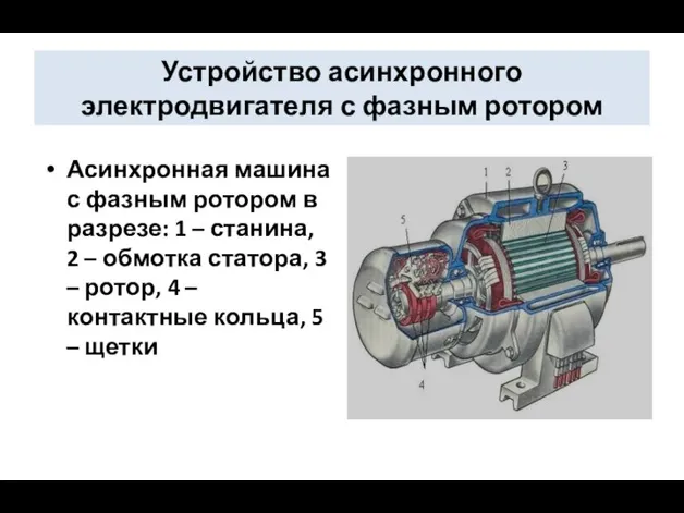 Устройство асинхронного электродвигателя с фазным ротором Асинхронная машина с фазным ротором