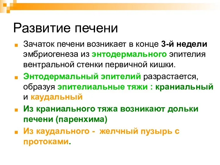 Развитие печени Зачаток печени возникает в конце 3-й недели эмбриогенеза из