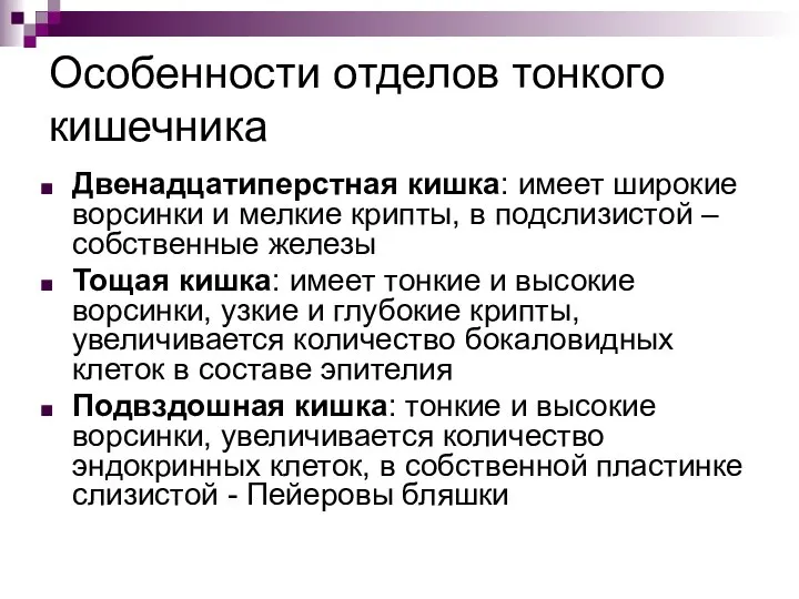 Особенности отделов тонкого кишечника Двенадцатиперстная кишка: имеет широкие ворсинки и мелкие