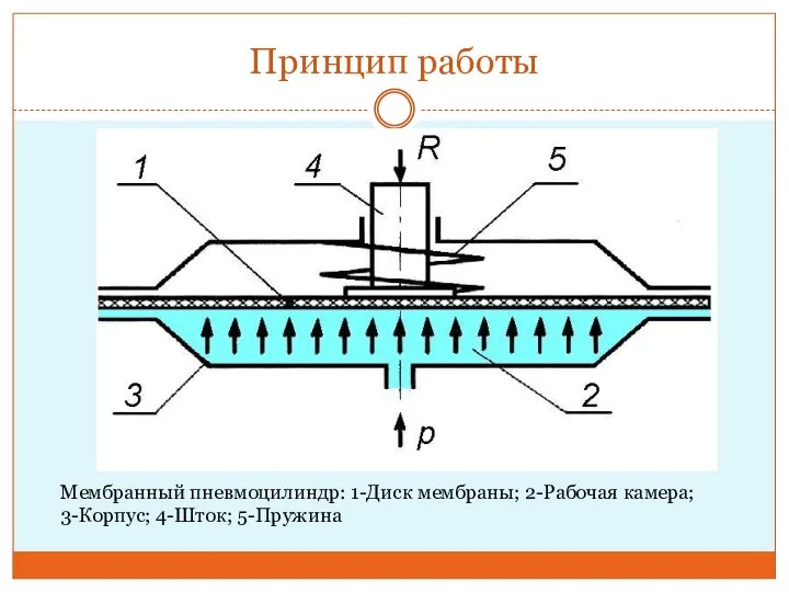 Принцип работы Мембранный пневмоцилиндр: 1-Диск мембраны; 2-Рабочая камера; 3-Корпус; 4-Шток; 5-Пружина