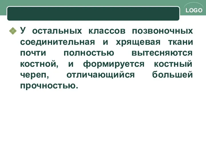 У остальных классов позвоночных соединительная и хрящевая ткани почти полностью вытесняются