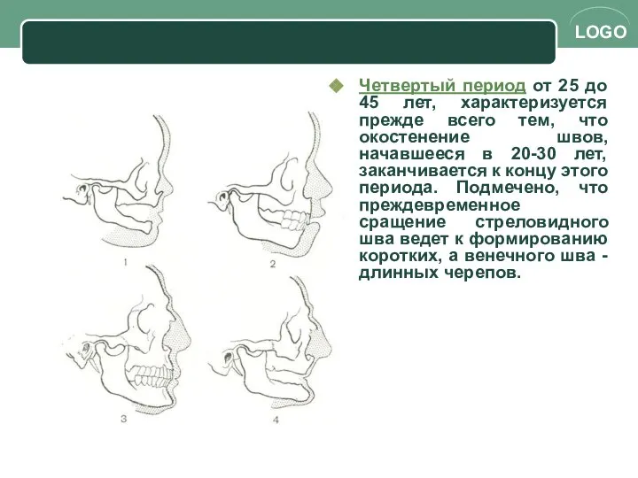 Четвертый период от 25 до 45 лет, характеризуется прежде всего тем,