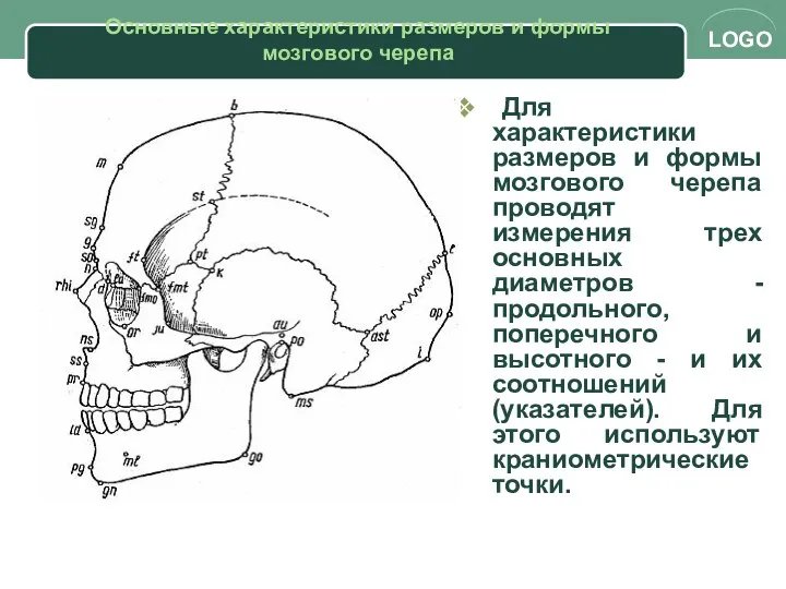 Основные характеристики размеров и формы мозгового черепа Для характеристики размеров и