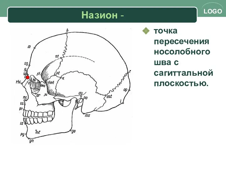 Назион - точка пересечения носолобного шва с сагиттальной плоскостью.