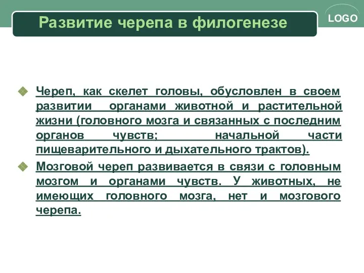 Развитие черепа в филогенезе Череп, как скелет головы, обусловлен в своем