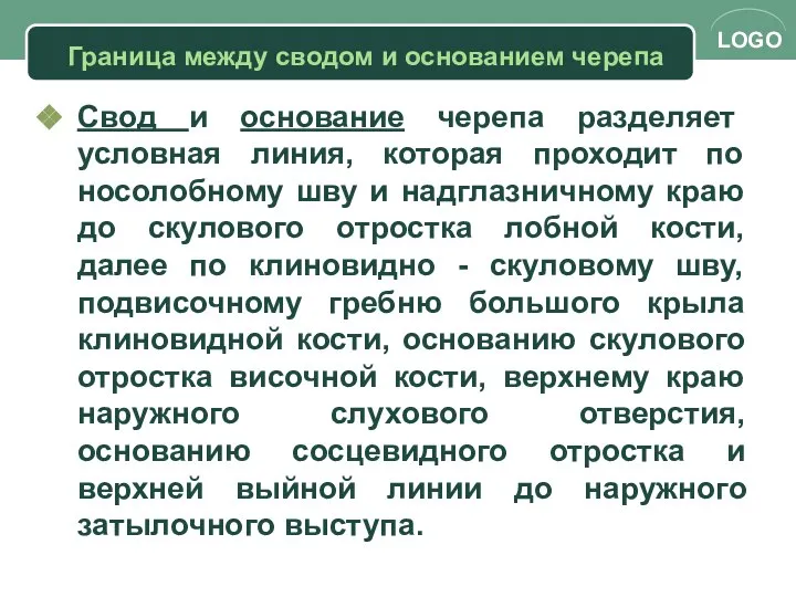 Свод и основание черепа разделяет условная линия, которая проходит по носолобному