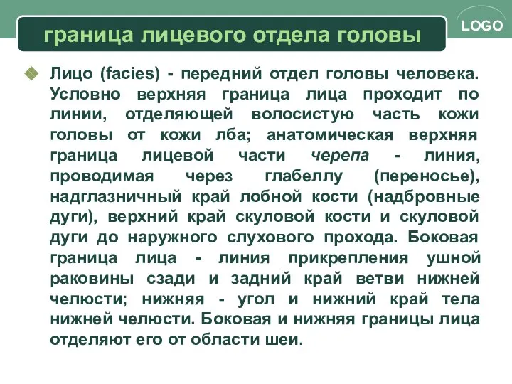 граница лицевого отдела головы Лицо (facies) - передний отдел головы человека.