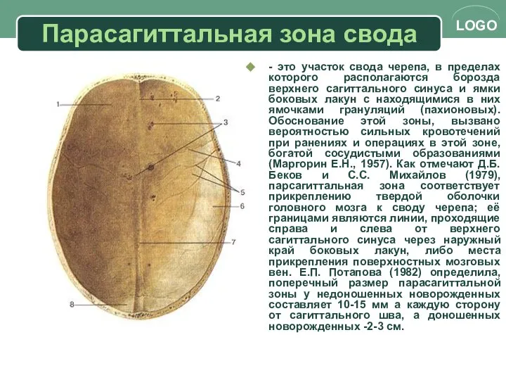 Парасагиттальная зона свода - это участок свода черепа, в пределах которого