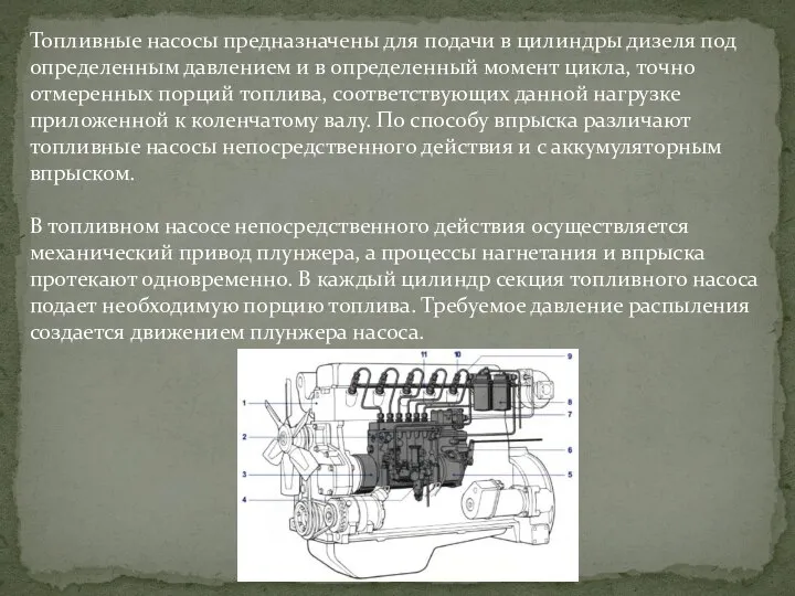 Топливные насосы предназначены для подачи в цилиндры дизеля под определенным давлением