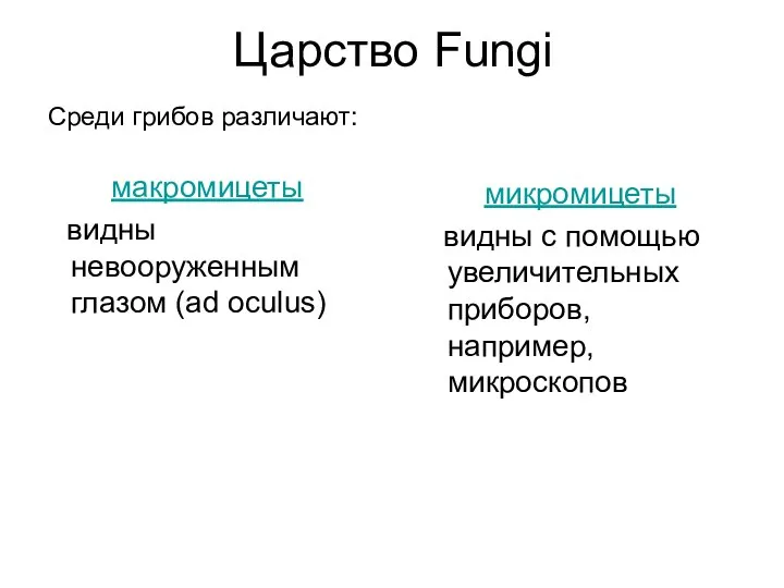 Царство Fungi микромицеты видны с помощью увеличительных приборов, например, микроскопов Среди