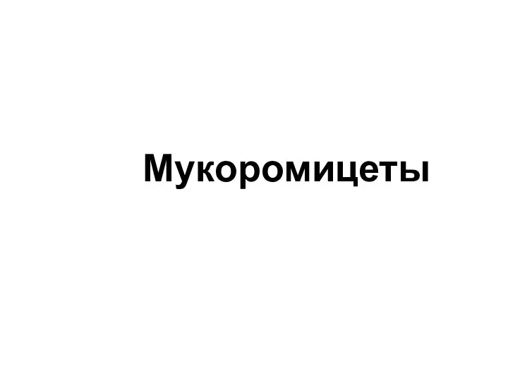 Мукоромицеты