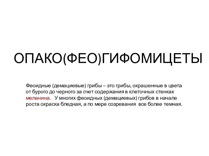 ОПАКО(ФЕО)ГИФОМИЦЕТЫ Феоидные (демациевые) грибы – это грибы, окрашенные в цвета от