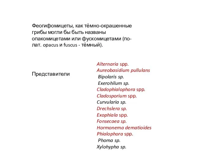 Феогифомицеты, как тёмно-окрашенные грибы могли бы быть названы опакомицетами или фускомицетами