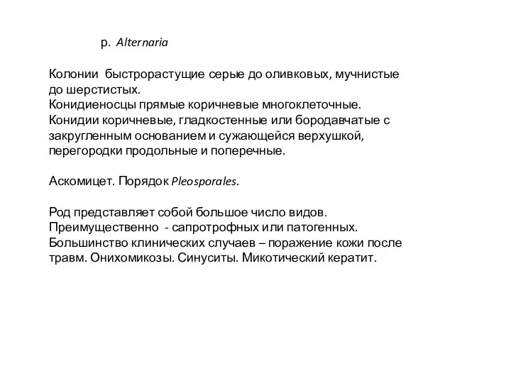 р. Alternaria Колонии быстрорастущие серые до оливковых, мучнистые до шерстистых. Конидиеносцы