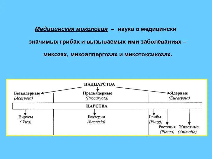 Медицинская микология – наука о медицински значимых грибах и вызываемых ими