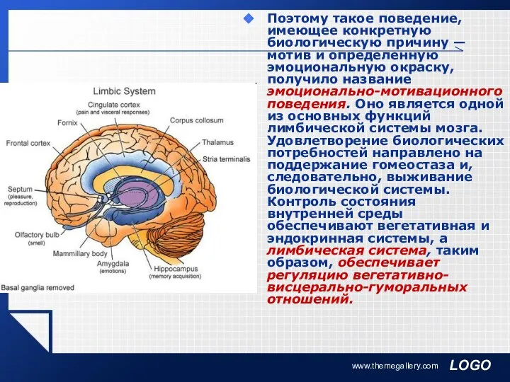 www.themegallery.com Поэтому такое поведение, имеющее конкретную биологическую причину — мотив и