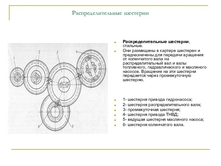 Распределительные шестерни Распределительные шестерни, стальные. Они размещены в картере шестерен и