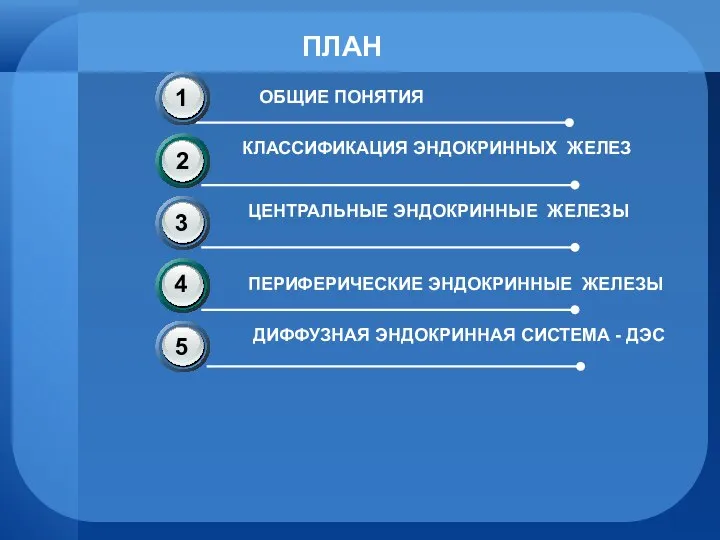 ПЛАН ОБЩИЕ ПОНЯТИЯ КЛАССИФИКАЦИЯ ЭНДОКРИННЫХ ЖЕЛЕЗ ЦЕНТРАЛЬНЫЕ ЭНДОКРИННЫЕ ЖЕЛЕЗЫ ПЕРИФЕРИЧЕСКИЕ ЭНДОКРИННЫЕ