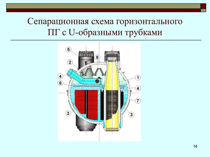 Сепарационная схема горизонтального ПГ с U-образными трубками