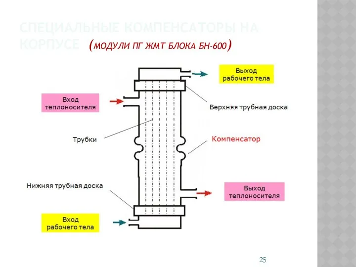 СПЕЦИАЛЬНЫЕ КОМПЕНСАТОРЫ НА КОРПУСЕ (МОДУЛИ ПГ ЖМТ БЛОКА БН-600)