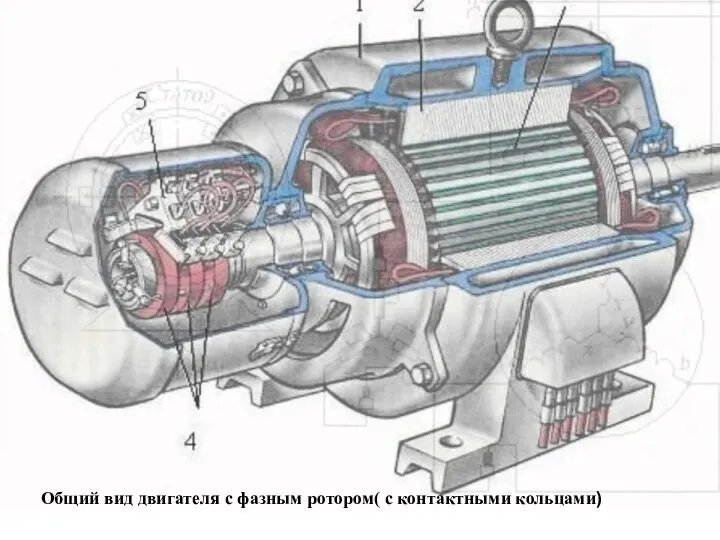 Общий вид двигателя с фазным ротором( с контактными кольцами)
