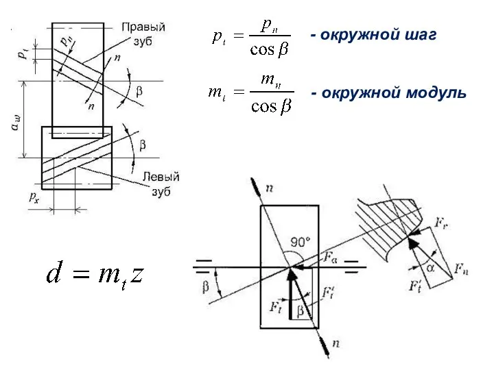 - окружной модуль - окружной шаг