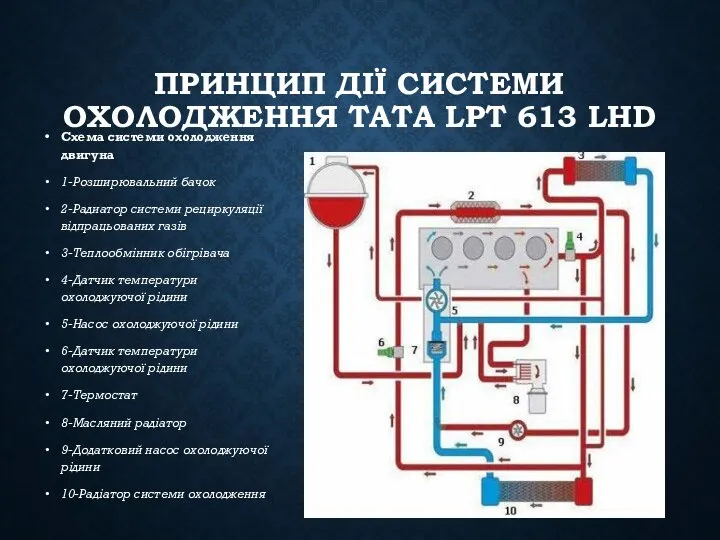 ПРИНЦИП ДІЇ СИСТЕМИ ОХОЛОДЖЕННЯ TATA LPT 613 LHD Схема системи охолодження