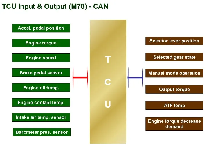 TCU Input & Output (M78) - CAN Selector lever position Selected