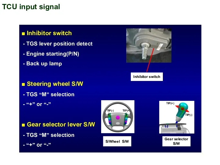 TCU input signal ■ Inhibitor switch - TGS lever position detect