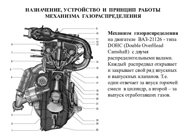 НАЗНАЧЕНИЕ, УСТРОЙСТВО И ПРИНЦИП РАБОТЫ МЕХАНИЗМА ГАЗОРАСПРЕДЕЛЕНИЯ Механизм газораспределения на двигателе