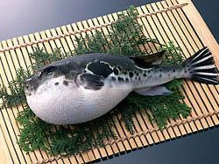 В Японии очень своеобразная кухня Рыба фугу издревле считалась на японском